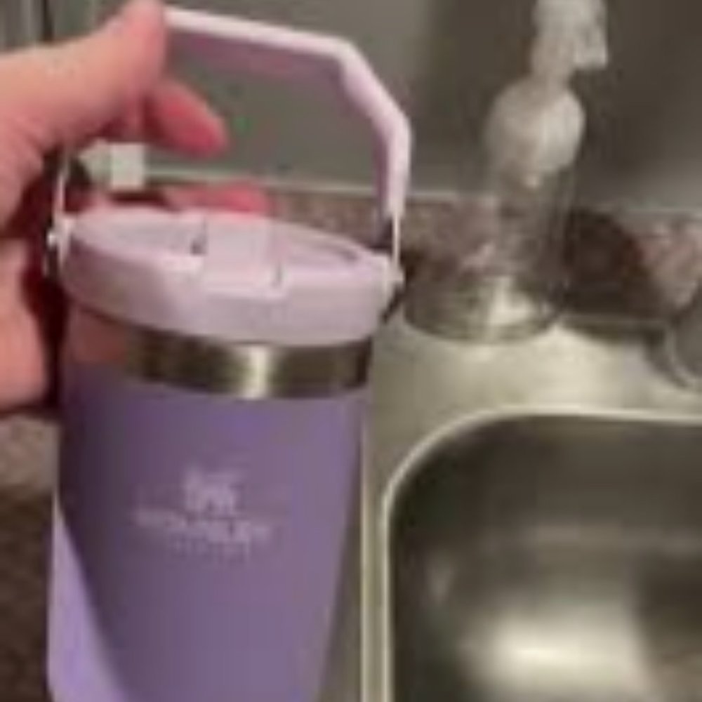 Purple Stanley Tumbler